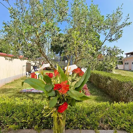 House Kristina 1203